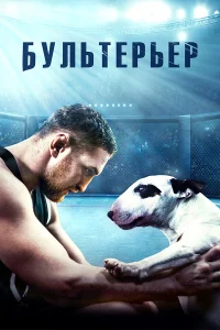 Постер Бультерьер