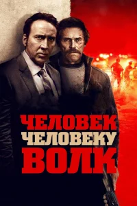  Человек человеку волк 