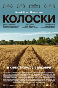 Постер Колоски 